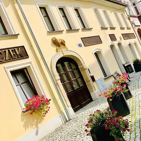 Hotel, Pod Zlotym Lwem W Samym Centrum Miasta Z Darmowym Parkingiem Vii Apartment *