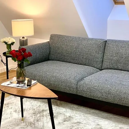 Hotel, Pod Złotym Lwem W Samym Centrum Miasta Z Darmowym Parkingiem Vii Apartament *
