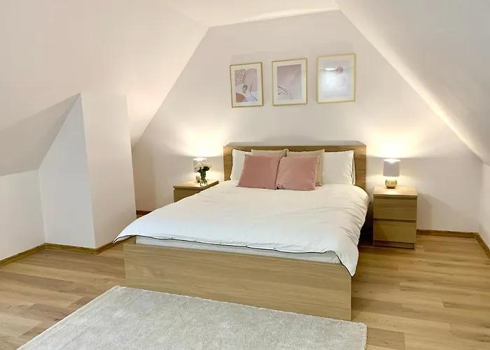 Pietrowy 55m W Samym Centrum Miasta Z Darmowym Parkingiem Vii *