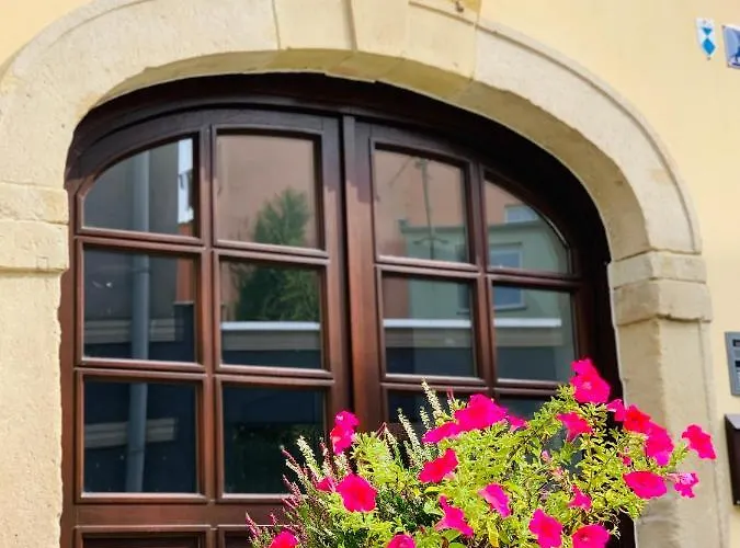 Lejlighed Pietrowy 55m W Samym Centrum Miasta Z Darmowym Parkingiem Vii *