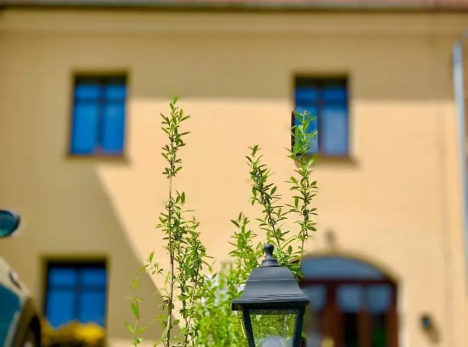 Pietrowy 55m W Samym Centrum Miasta Z Darmowym Parkingiem Vii *